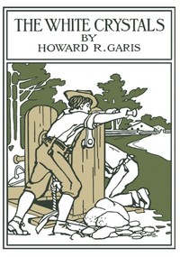 Cover of The White Crystals: Being an Account of the Adventures of Two Boys — A Reader’s Guide