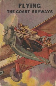 Cover of Flying the Coast Skyways; Or, Jack Ralston's Swift Patrol — Story, Setting & Ideas