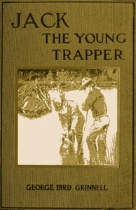 Cover of Jack the Young Trapper: An Eastern Boy's Fur Hunting in the Rocky Mountains — Themes and Context