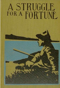 Cover of A Struggle for a Fortune — Background and Themes
